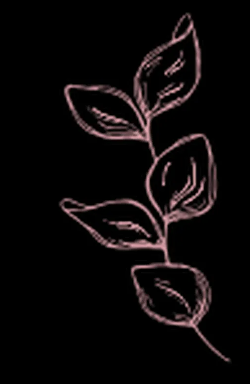 Logo Reinhardt koch - Kochkurse und Gastronomie-Service